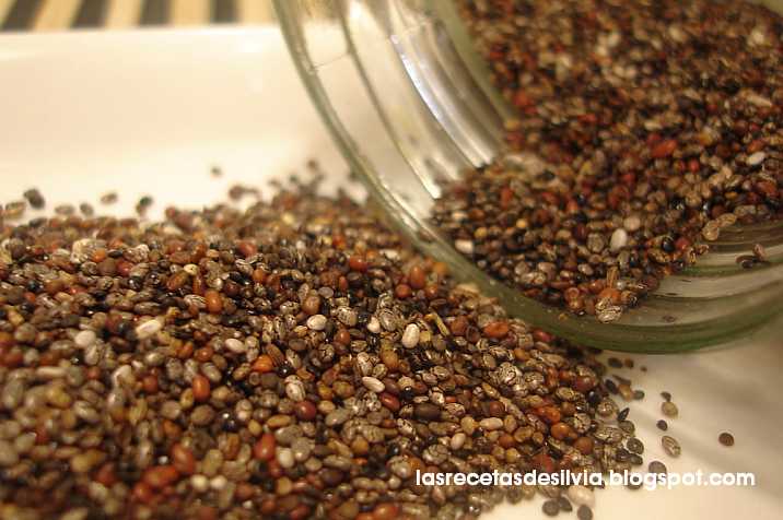 chia en polvo como se toma